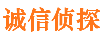 白沙找人公司